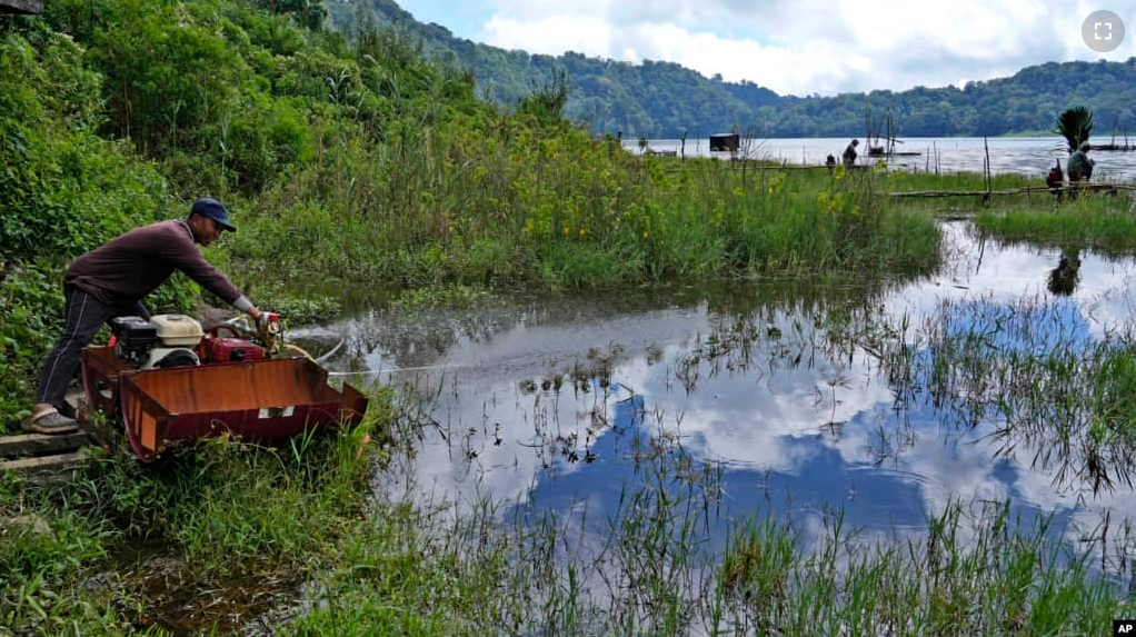 A man collects water from the Tamblingan lake in Buleleng Bali, Indonesia, Saturday, April 16, 2022. (AP Photo/Tatan Syuflana)