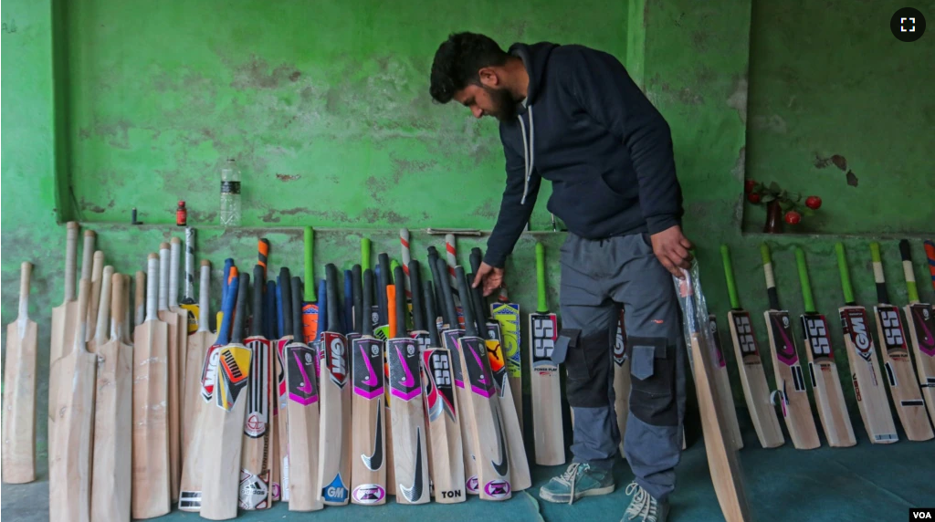 Kashmir produces around 3 million cricket bats annually. The cost of the bats made of Kashmir willow is low in comparison to English willow. (Wasim Nabi/VOA)