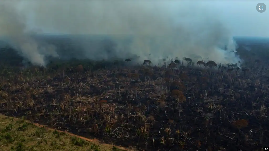 FILE - Smoke rises from a forest fire in the Transamazonica highway region, in the municipality of Labrea, Amazonas state, Brazil, Sept. 17, 2022. (AP Photo/Edmar Barros, File)