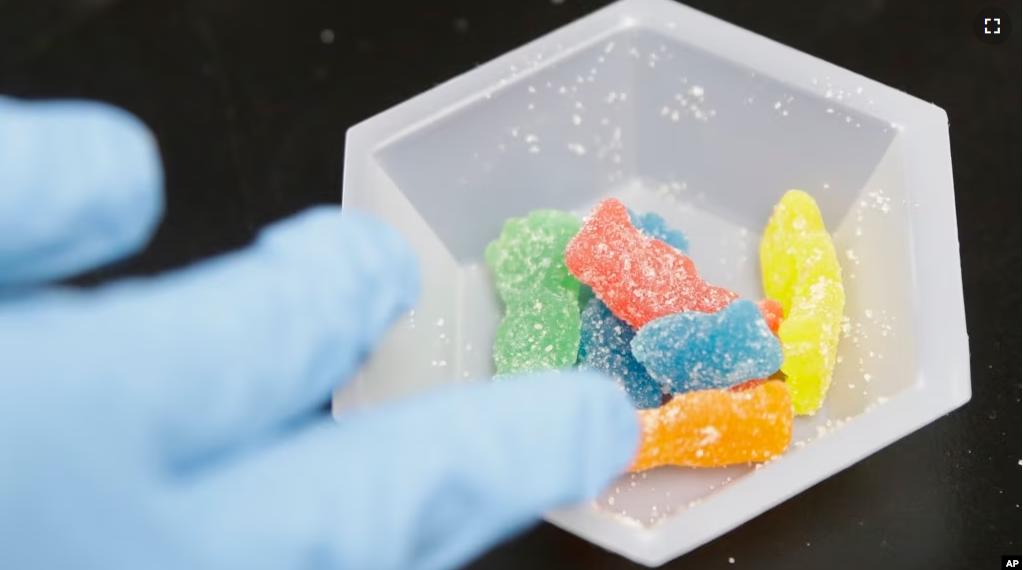 Edible marijuana samples are set aside for evaluation at a cannabis testing laboratory in Santa Ana, California on August 22, 2018. (AP Photo/Chris Carlson, File)