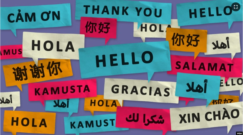 "Hello" and "thank you" in different languages. (VOA)