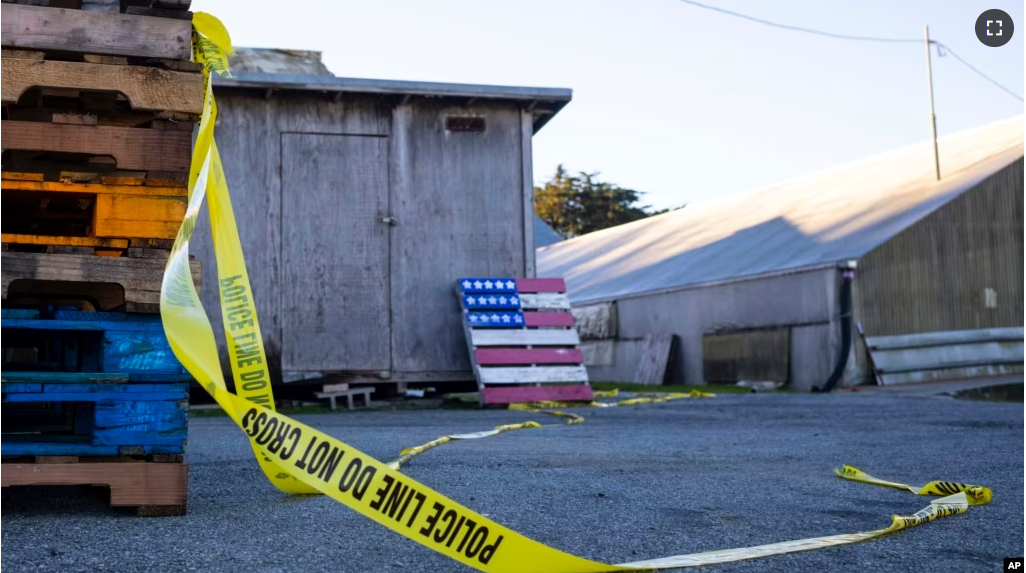 Police tape marks off the scene of a shooting off Cabrillo Highway, Jan. 24, 2023, after a gunman killed several people at two agricultural businesses in Half Moon Bay, California. (AP Photo/ Aaron Kehoe)