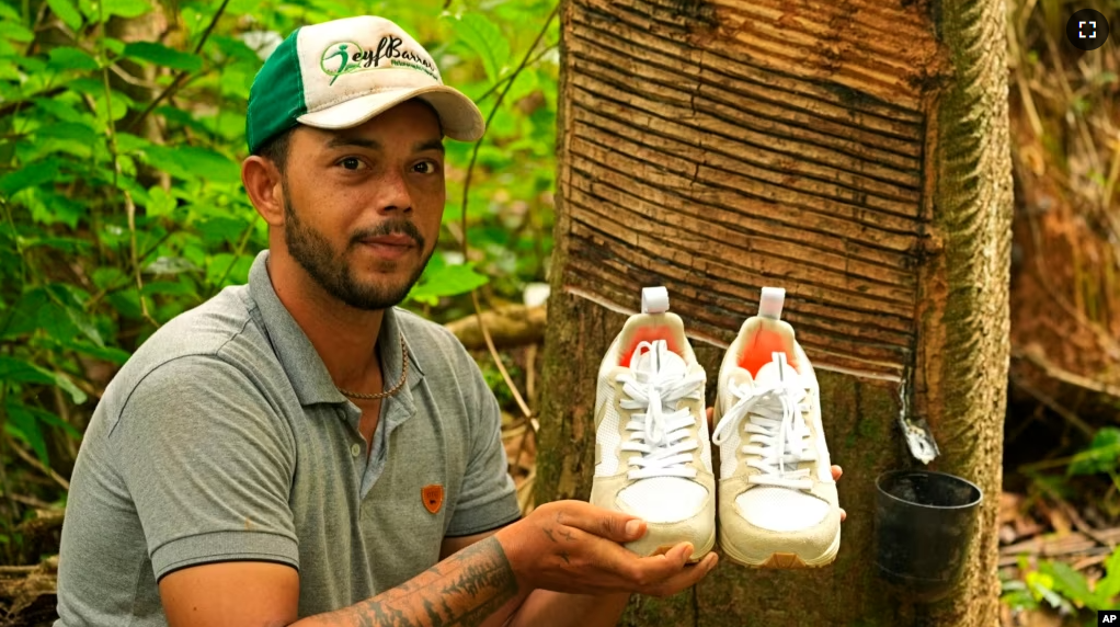 Rubber tapper Rogerio Mendes shows off his Veja sneakers, received as a prize for his work as a young rubber extractor in the Chico Mendes Extractive Reserve, Acre state, Brazil, Wednesday, Dec. 7, 2022. (AP Photo/Eraldo Peres)