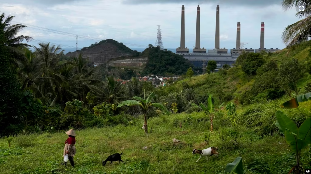 A woman leads her goats as Suralaya coal power plant looms in the background in Cilegon, Indonesia, Sunday, Jan. 8, 2023. (AP Photo/Dita Alangkara)