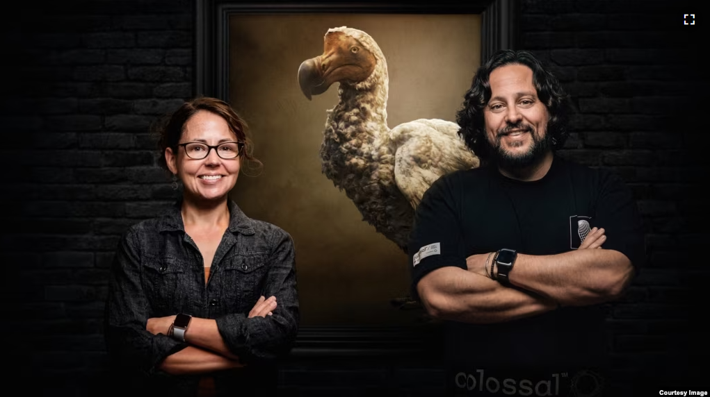 Dr. Beth Shapiro, Lead Paleogeneticist, and Ben Lamm, Colossal Co-Founder and CEO. (Image courtesy of Colossal Biosciences)