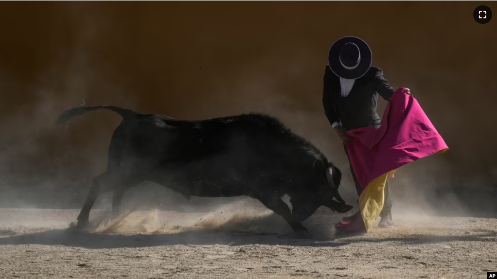 Bullfighter Sebastian Vargas performs a pass at the Hacienda Vista Hermosa bullring in Villa Pinzón, Colombia, Saturday, Feb. 25, 2023.