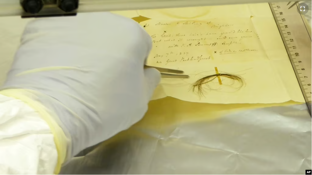 This photo provided by researchers in March 2023, shows the Stumpff Lock, from composer Ludwig van Beethoven, in a laboratory at the Max Planck Institute for the Science of Human History in Germany. (Anthi Tiliakou via AP)