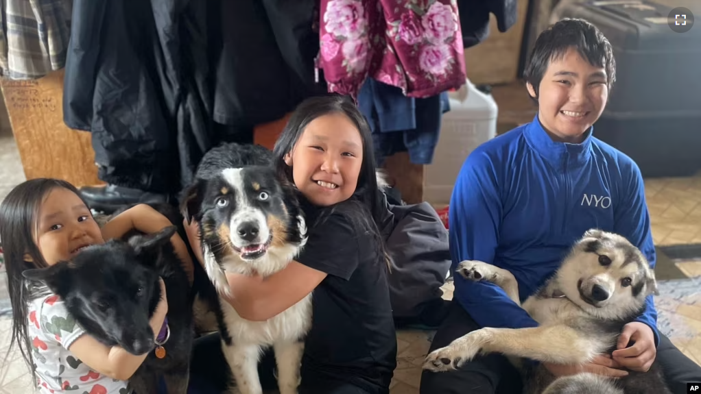 In this photo provided by Mandy Iworrigan is Nanuq, in the middle with Brooklyn Faith, after the 1-year-old Australian shepherd was returned to Gambell, Alaska, on April 6, 2023. (Mandy Iworrigan via AP)