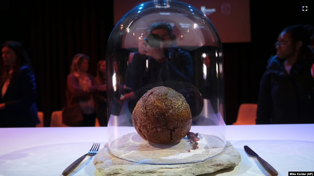 A meatball made using genetic code from a mammoth is seen at the Nemo science museum in Amsterdam, Tuesday March 28, 2023. (AP Photo/Mike Corder)