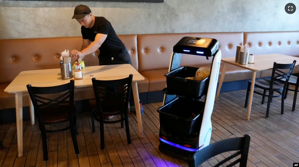 A robot at the Noodle Topia heads back to the kitchen after a table is cleared March 20, 2023, in Michigan. (AP Photo/Carlos Osorio)