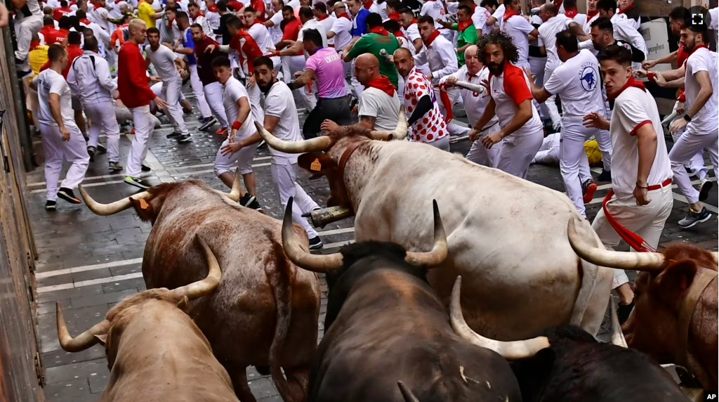 FILE - People run through the streets at the San Fermin Festival in Pamplona, northern Spain, July 7, 2022. Imagine these bulls running through in a small china shop. (AP Photo/Alvaro Barrientos)