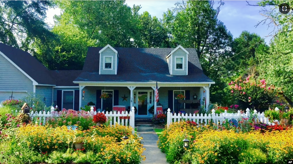 This image provided by American Meadows Inc. shows a lush wildflower meadow growing in place of a residential lawn. (American Meadows Inc. via AP)