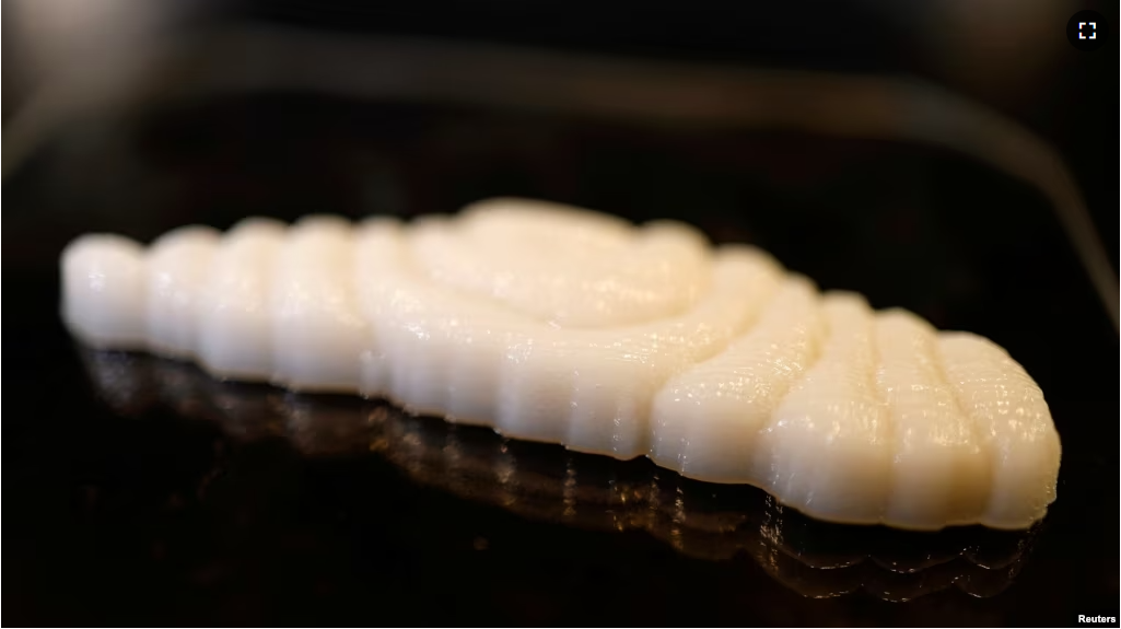 FILE - A piece of freshly 3D-printed cultivated grouper fish is seen at the offices of Steakholder Foods in Rehovot, Israel, April 23, 2023. (REUTERS/Amir Cohen)