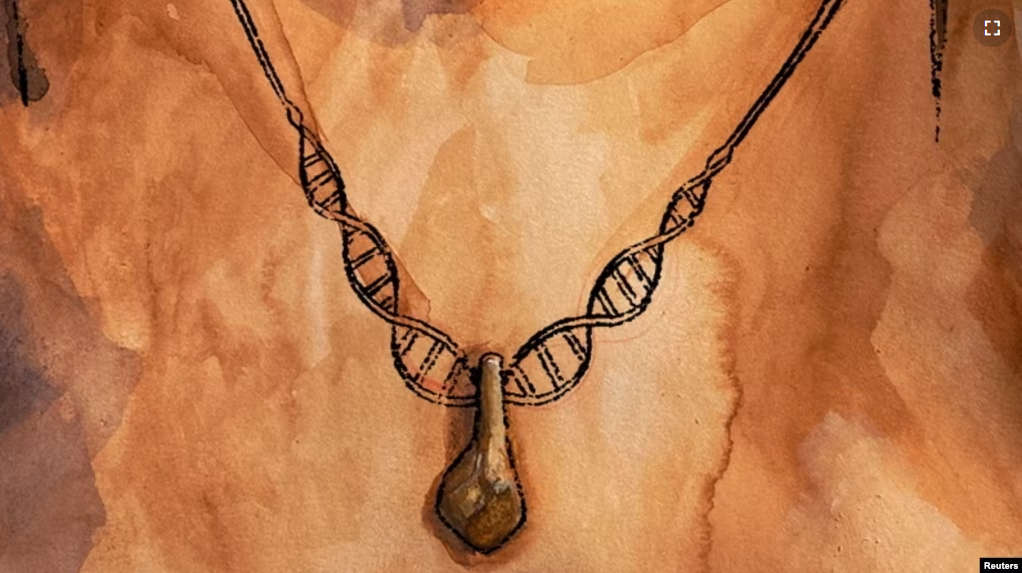 An artistic interpretation of an ancient pendant made with an elk tooth, found at the Denisova Cave in southern Siberia, with dark DNA-shaped cordage is seen in this undated handout image. (Myrthe Lucas/Handout via REUTERS)