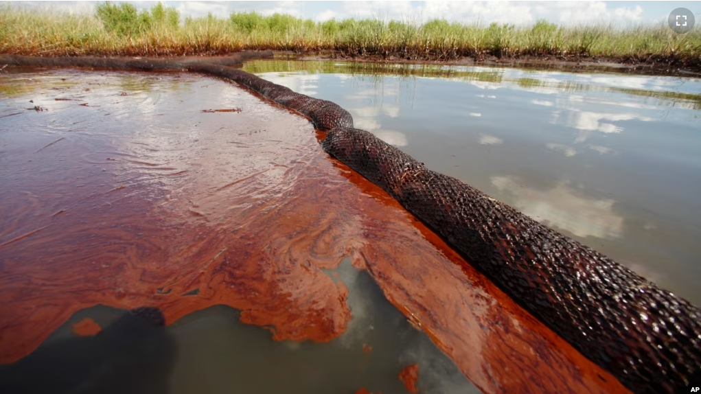 In this June 26, 2010 file photo, oil from the Deepwater Horizon oil spill floats on the surface of the water in Bay Jimmy in the southern U.S. state of Louisiana. (AP Photo/Gerald Herbert)