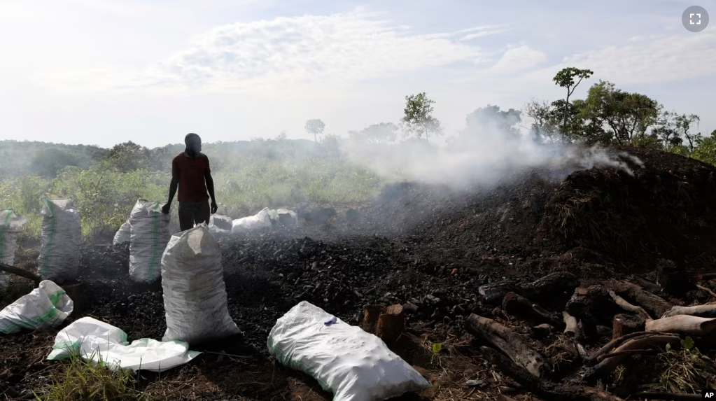 Deo Ssenyimba stands near a heap of burning charcoal in Gulu, Uganda, May 27, 2023. (AP Photo/Hajarah Nalwadda)