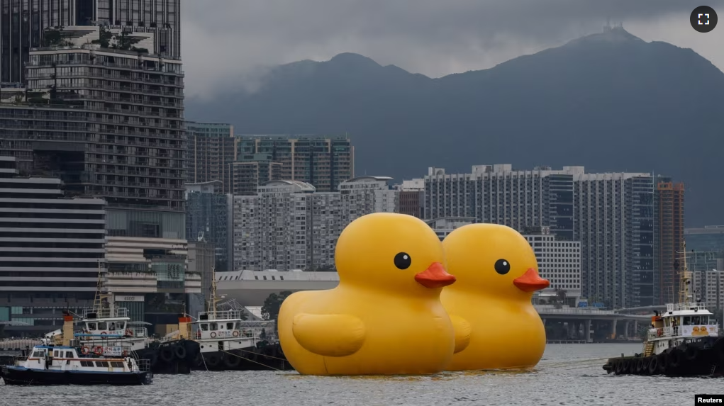 An art installation dubbed "Double Ducks" by Dutch artist Florentijn Hofman, is seen at Victoria Harbour, in Hong Kong, China June 9, 2023. (REUTERS/Tyrone Siu)