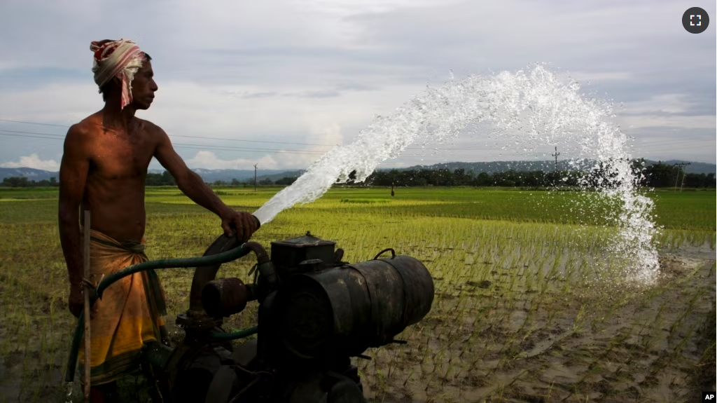 FILE - A man irrigates his field with an electric water pump at Bagh Jap village, about 55 kilometers (34 miles) east of Gauhati, India, Tuesday, Aug. 11 2009. (AP Photo/Anupam Nath)