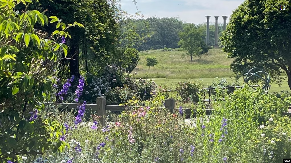 A scenic view at the U.S. National Arboretum in Washington, D.C., June 1, 2023. (VOA)