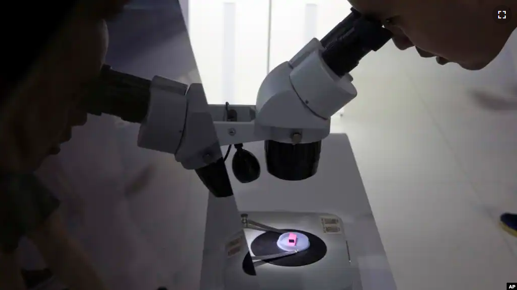 FILE - A visitor to the 21st China Beijing International High-tech Expo looks at a computer chip through the microscope displayed by the state-controlled Tsinghua Unigroup project on May 17, 2018. (AP Photo/Ng Han Guan, File)