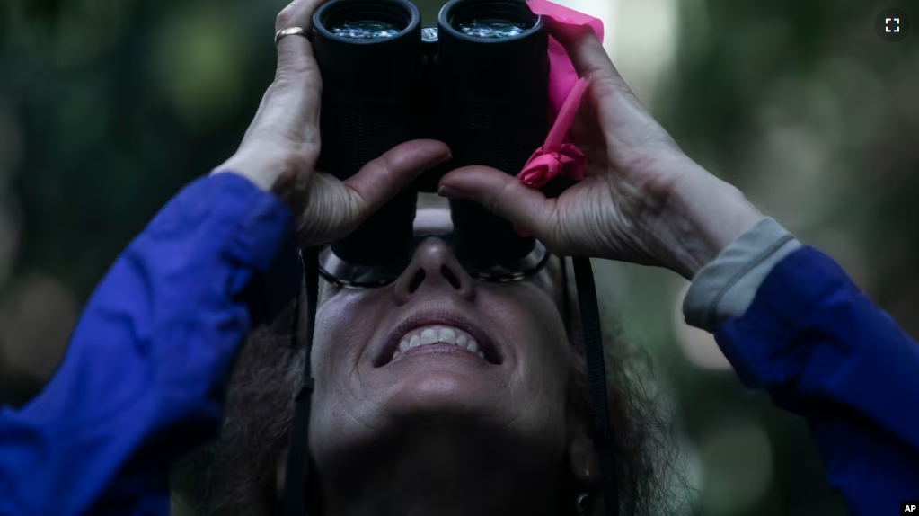 American Biological Anthropologist Karen Strier observes northern muriqui monkeys at the Feliciano Miguel Abdala Private Natural Heritage Reserve, in Caratinga, Minas Gerais state, Brazil, June 14, 2023. (AP Photo/Bruna Prado)