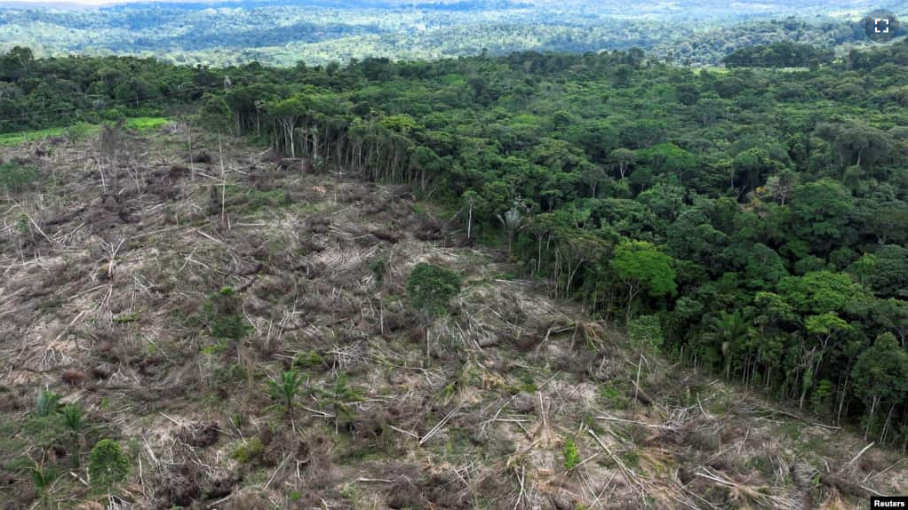 FILE - An aerial view shows a deforested area during an operation to combat deforestation near Uruara, Para State, Brazil January 21, 2023. (REUTERS/Ueslei Marcelino)