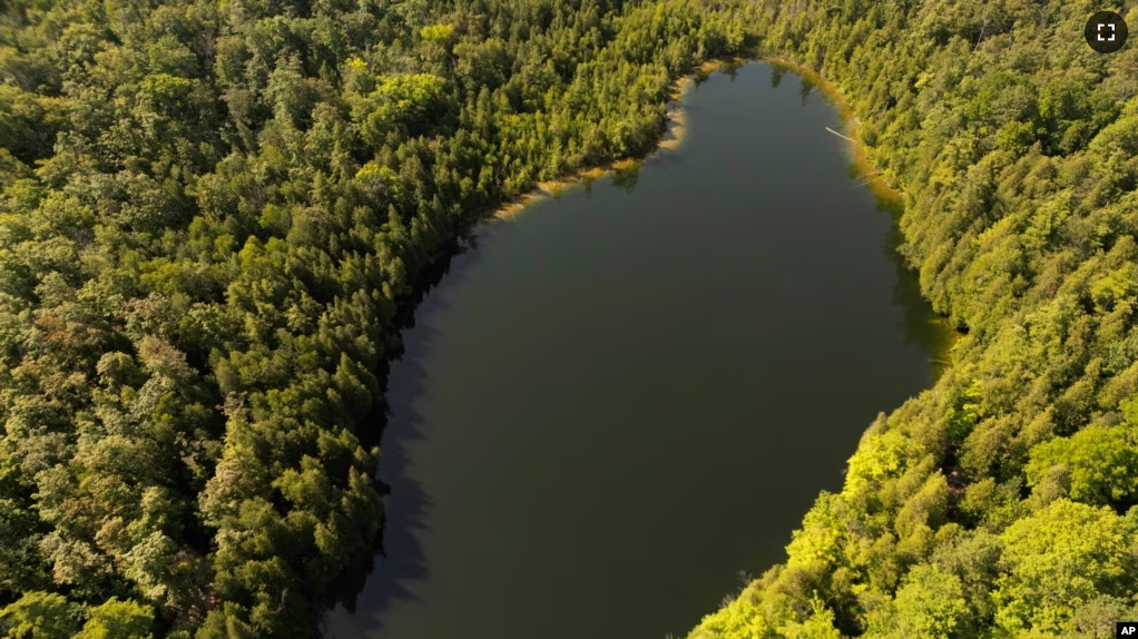 Trees surround Crawford Lake in Milton, Ontario., on Monday, July 10, 2023. (Cole Burston/The Canadian Press via AP)