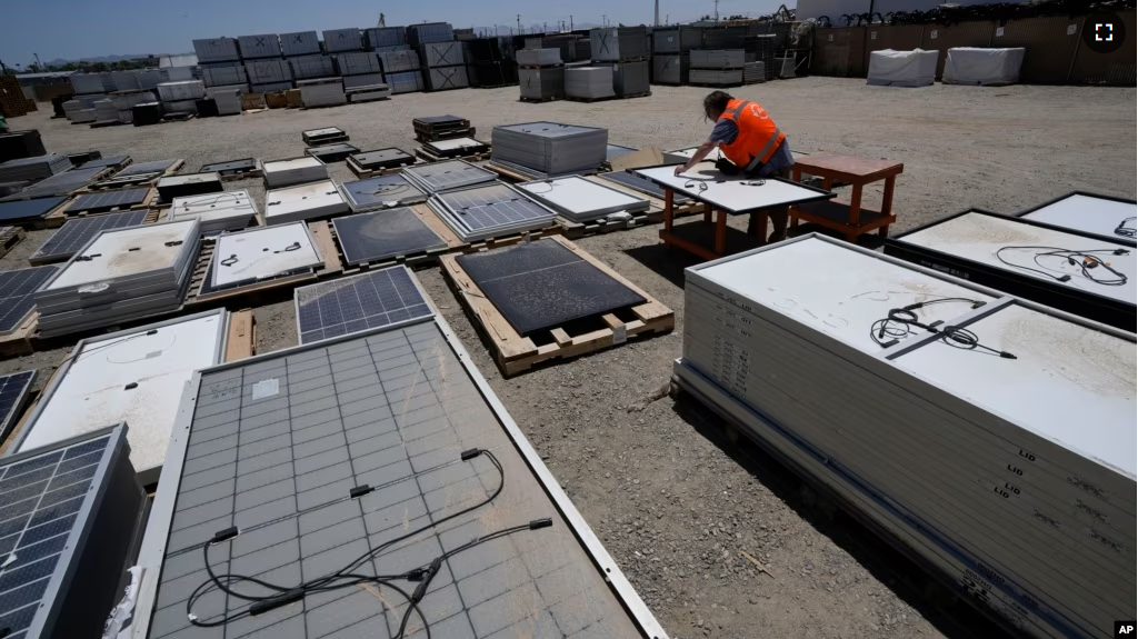 FILE - Dwight Clark inspects a used solar panel at We Recycle Solar on Tuesday, June 6, 2023, in Yuma, Ariz. (AP Photo/Gregory Bull)