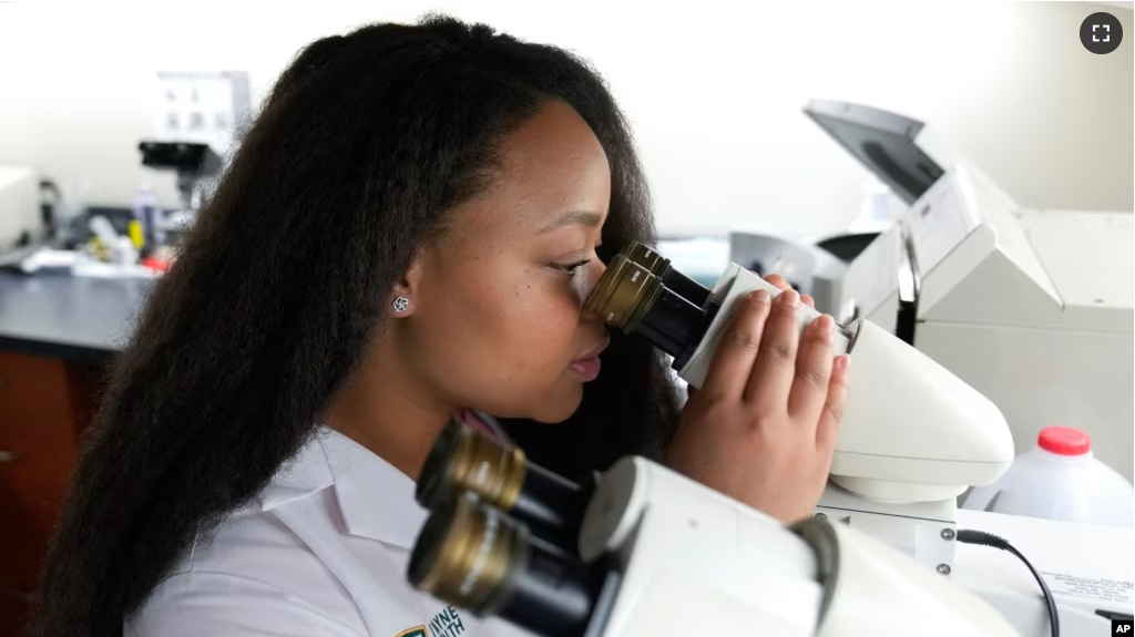 Dr. Starling Tolliver, a dermatology resident at Wayne State University, works at Wayne Health in Dearborn, Michigan, on Tuesday, August 1, 2023. (AP Photo/Paul Sancya)