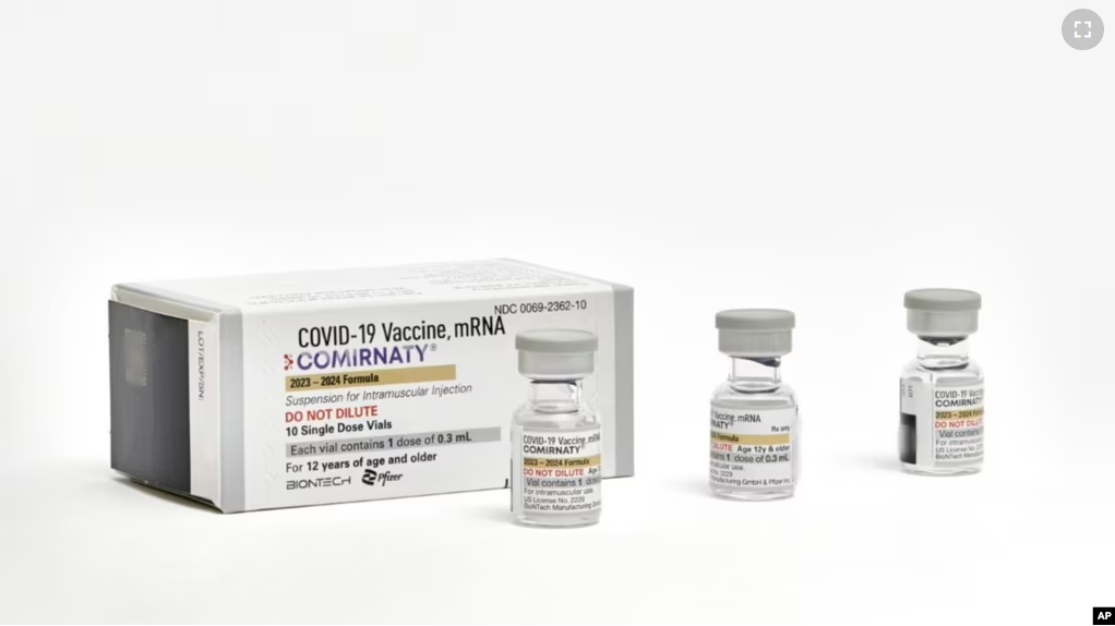 This photo provided by Pfizer in September 2023 shows single-dose vials of the company's updated COVID vaccine for adults. U.S. regulators have approved updated COVID-19 vaccines from Pfizer and Moderna, shots. (Pfizer via AP)