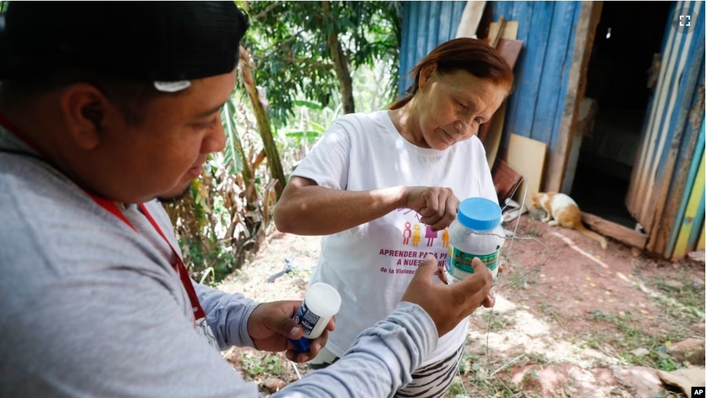 Lourdes Betancourt prepares a jar containing mosquito eggs to hang from a tree in her yard, in Tegucigalpa, Honduras, Aug. 23, 2023. The mosquitoes that hatch will carry bacteria called Wolbachia that interrupt the transmission of dengue. (AP Photo/Elmer Martinez)