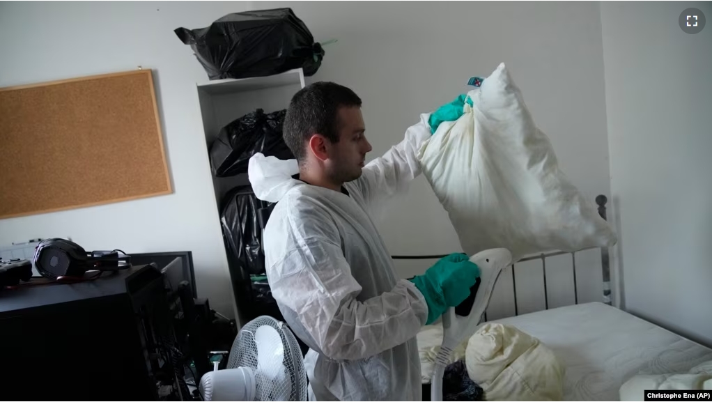 Pest control technician Lucas Pradalier sprays steam on a pillow in a Paris apartment, Wednesday, Oct. 4, 2023. The French government has been forced to step in to calm a nation increasingly anxious about bedbugs. (AP Photo/Christophe Ena)