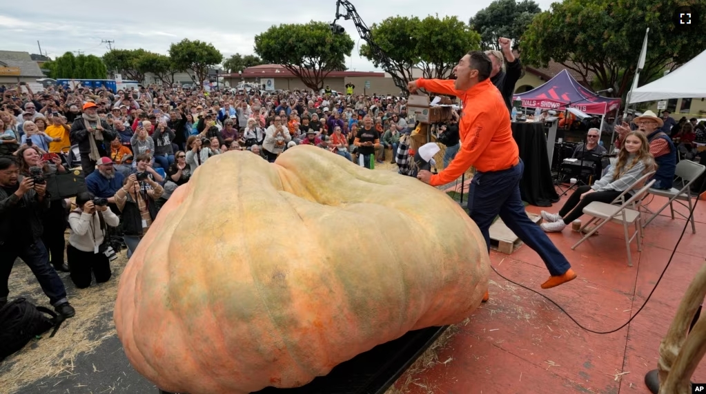 Travis Gienger of Anoka, Minn., reacts after winning the Safeway 50th annual World Championship Pumpkin Weigh-Off in Half Moon Bay, Calif., Monday, Oct. 9, 2023. Gienger won the event with a pumpkin weighing 2749 pounds. (AP Photo/Eric Risberg)