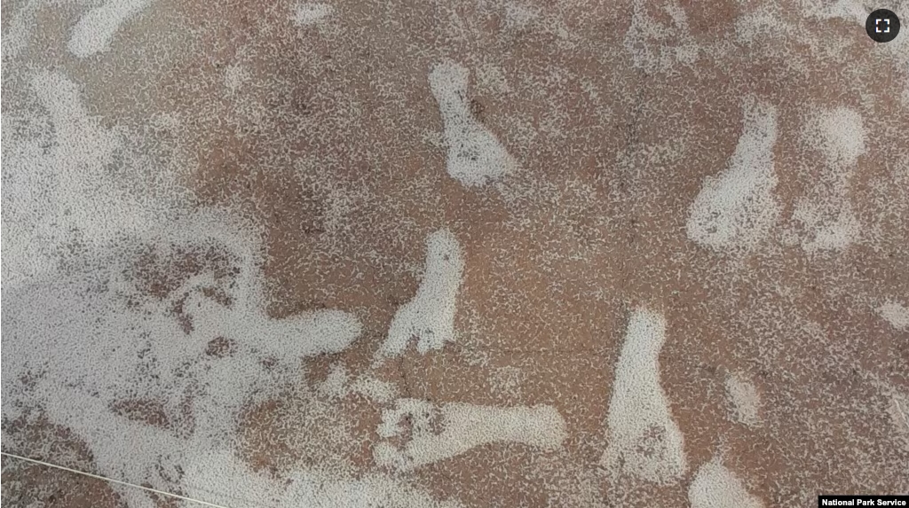 This Oct. 2023 photo shows human footprints at the White Sands National Park in New Mexico. Fossil human footprints discovered in White Sands likely date back to between 21,000 and 23,000 years ago, according to scientific evidence published Thursday, Oct. 5, 2023. (NPS via AP)