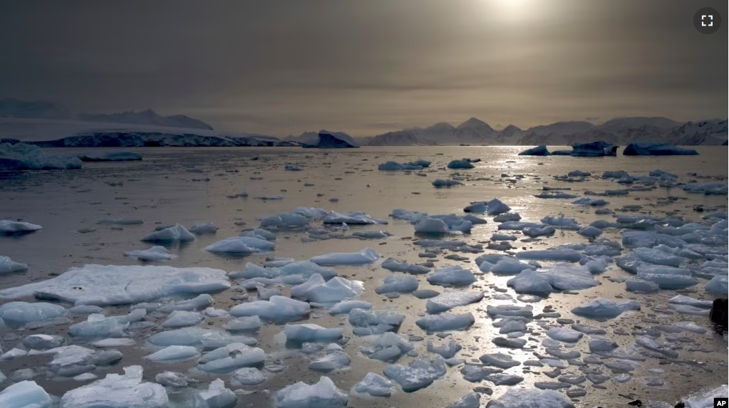 This undated image provided by British Antarctic Survey, shows the North Cove, in Antarctic. (Michael Shortt/British Antarctic Survey via AP)