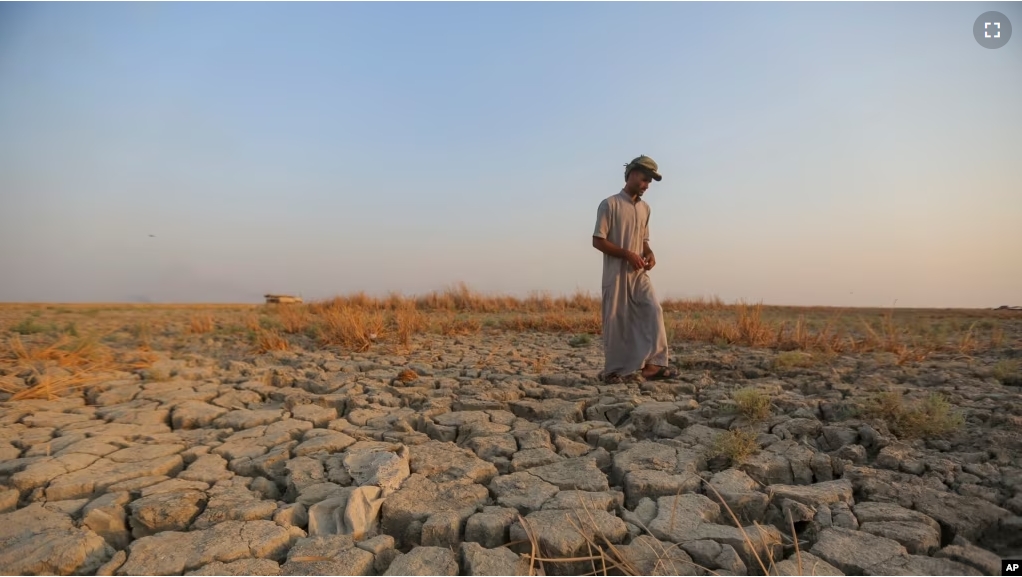 FILE - A fisherman walks across a dry patch of land in the marshes in Dhi Qar province, Iraq, Sept. 2, 2022. (AP Photo/Anmar Khalil, File)