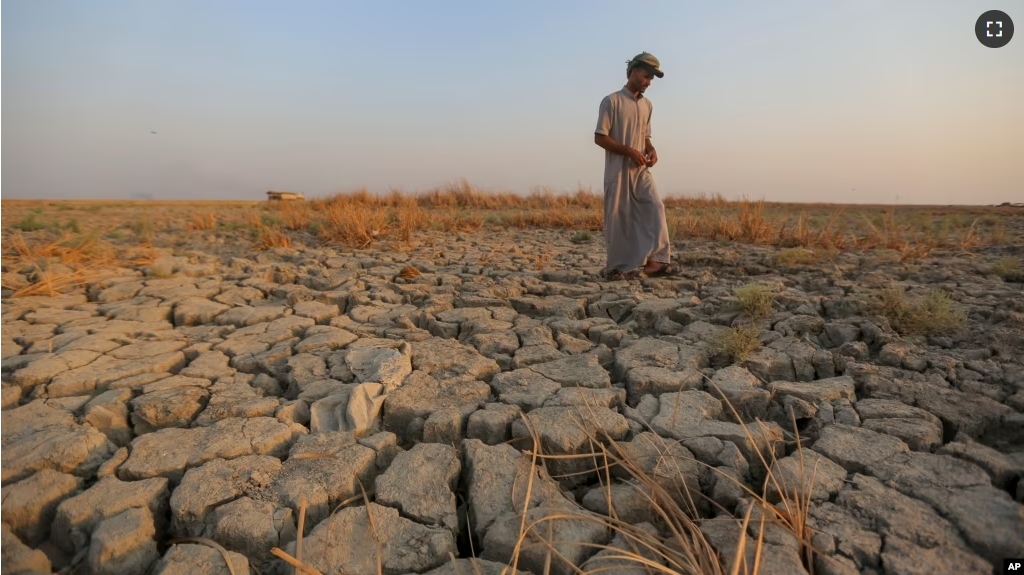 FILE - A fisherman walks across a dry patch of land in the marshes in Dhi Qar province, Iraq on September 2, 2022. (AP Photo/Anmar Khalil, File)