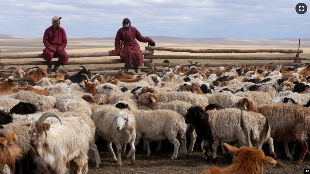 FILE - A neighboring herder talks to Agvaantogtokh, left, sitting on a livestock fence in the Munkh-Khaan region of the Sukhbaatar district in southeast Mongolia, May 16, 2023. (AP Photo/Manish Swarup)