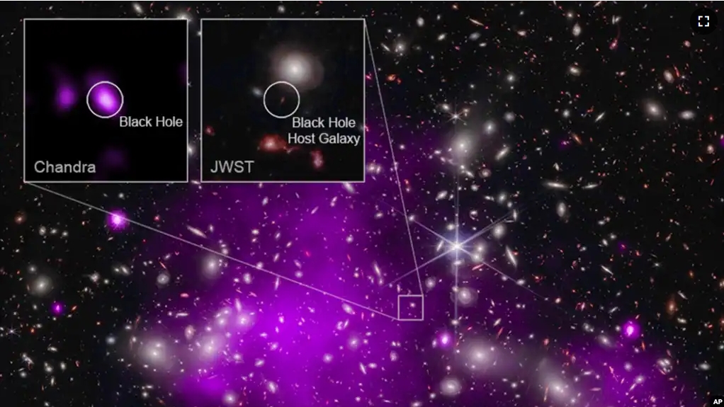 This annotated image provided by NASA on Nov. 6, 2023, shows a composite view of data from NASA’s Chandra X-ray Observatory and James Webb Space Telescope indicating a growing black hole just 470 million years after the big bang. (NASA via AP)