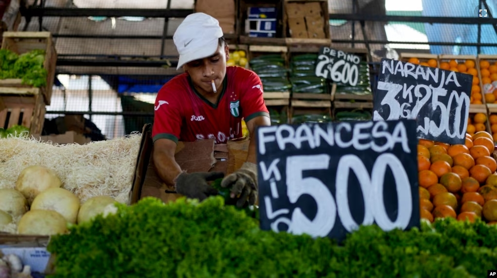 A vendor arranges vegetables at a market on the outskirts of Buenos Aires, Argentina, Wednesday, Jan. 10, 2024. The price for lettuce reads 500 Argentine pesos per kilogram, or about .60 US cents. (AP Photo/Natacha Pisarenko)