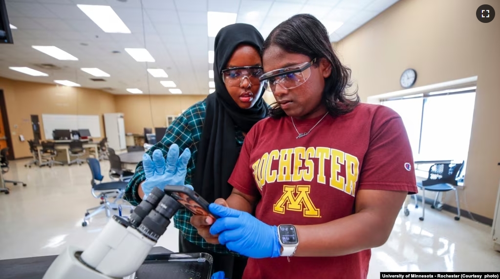 Akhil Kollengode, a student at the University of Minnesota-Rochester. (Courtesy photo)