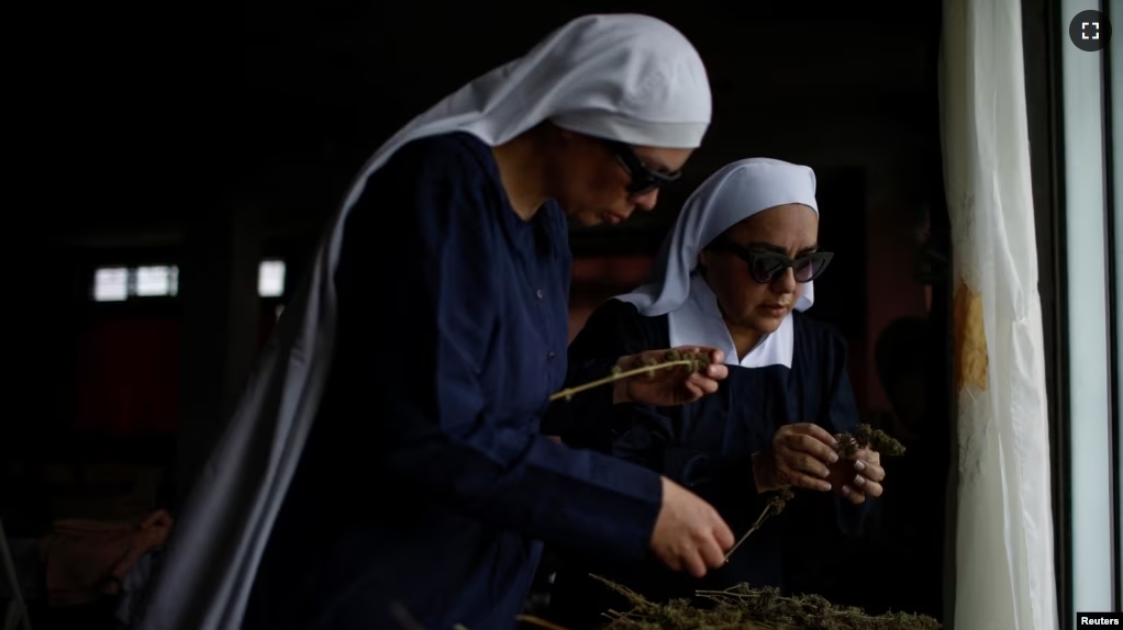 Members of Sisters of the Valley, a non-religious international group check hemp that is drying at a house on the Sisters of the Valley's farm on the outskirts of a village in central Mexico, September 2, 2023. (REUTERS/Raquel Cunha )