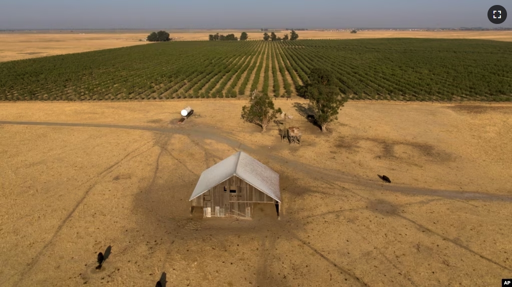 This aerial photo shows farmland in rural Solano County, Calif., Aug. 30, 2023. (AP Photo/Godofredo A. Vásquez, File)