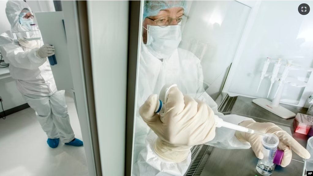 This photo provided by the University of Copenhagen in January 2024 shows the process of ancient DNA extraction at the Lundbeck Foundation GeoGenetics Center in Copenhagen. (Mikal Schlosser/University of Copenhagen via AP)