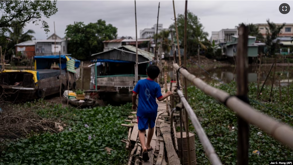 Do Hoang Trung walks along a bamboo bridge to reach a houseboat he shares with his twin sister and grandmother in Vietnam, Jan. 16, 2024. (AP Photo/Jae C. Hong)