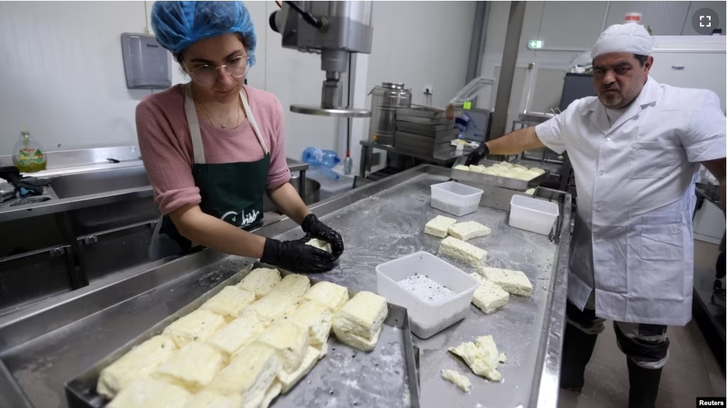 Pantelis Panteli (R) and a worker prepare halloumi on his farm in Kokkinotrimithia, Cyprus February 10, 2024. (REUTERS/Yiannis Kourtoglou)