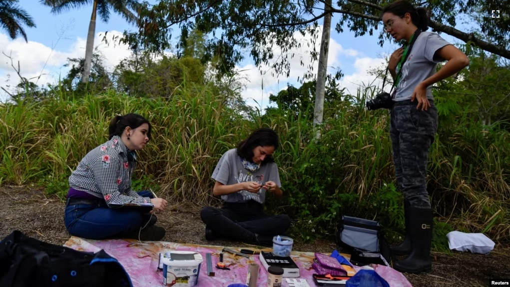 University of Havana professor Daniela Ventura speaks to students at Havana's Botanical Garden, in Havana, Cuba, February 9, 2024. (REUTERS/Norlys Perez)