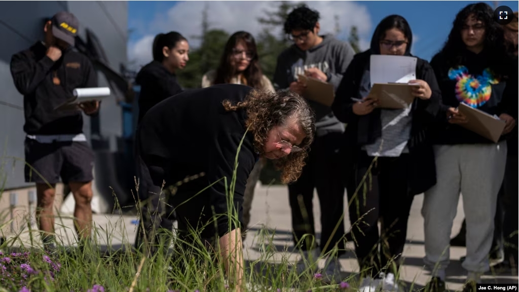 Associate professor Vered Mirmovitch, front, leads students on a plant tour on the West Los Angeles College campus, March 12, 2024. As students consider jobs that play a role in solving the climate crisis, community colleges are responding.