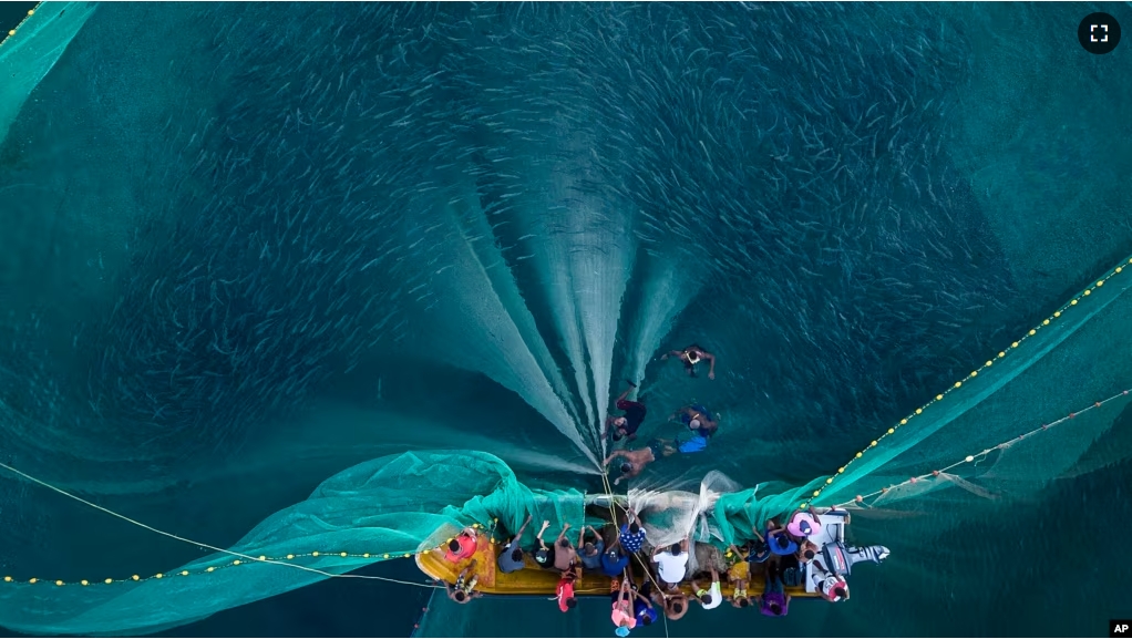 FILE - People pull a large net of fish off the coast of Chuao, Venezuela, June 7, 2023. (AP Photo/Matias Delacroix)