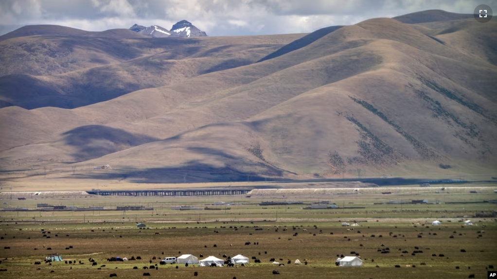 FILE - Yaks graze around tents set up for herders to live in the during the summer grazing season on grasslands near Lhasa in western China's Tibet Autonomous Region, Wednesday, June 2, 2021. (AP Photo/Mark Schiefelbein, File)